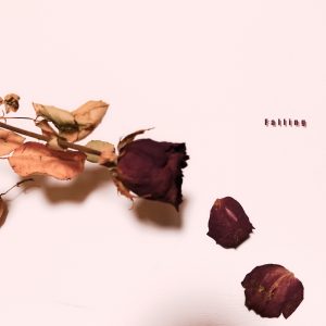 BADNIGHT – Falling 歌詞 ( Lyrics) ジャケット