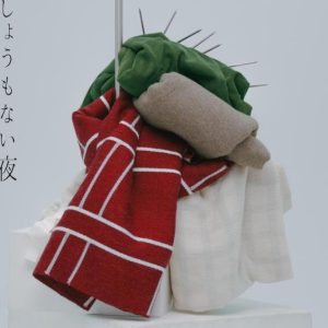 崎山蒼志 – しょうもない夜 歌詞 ( Lyrics) ジャケット