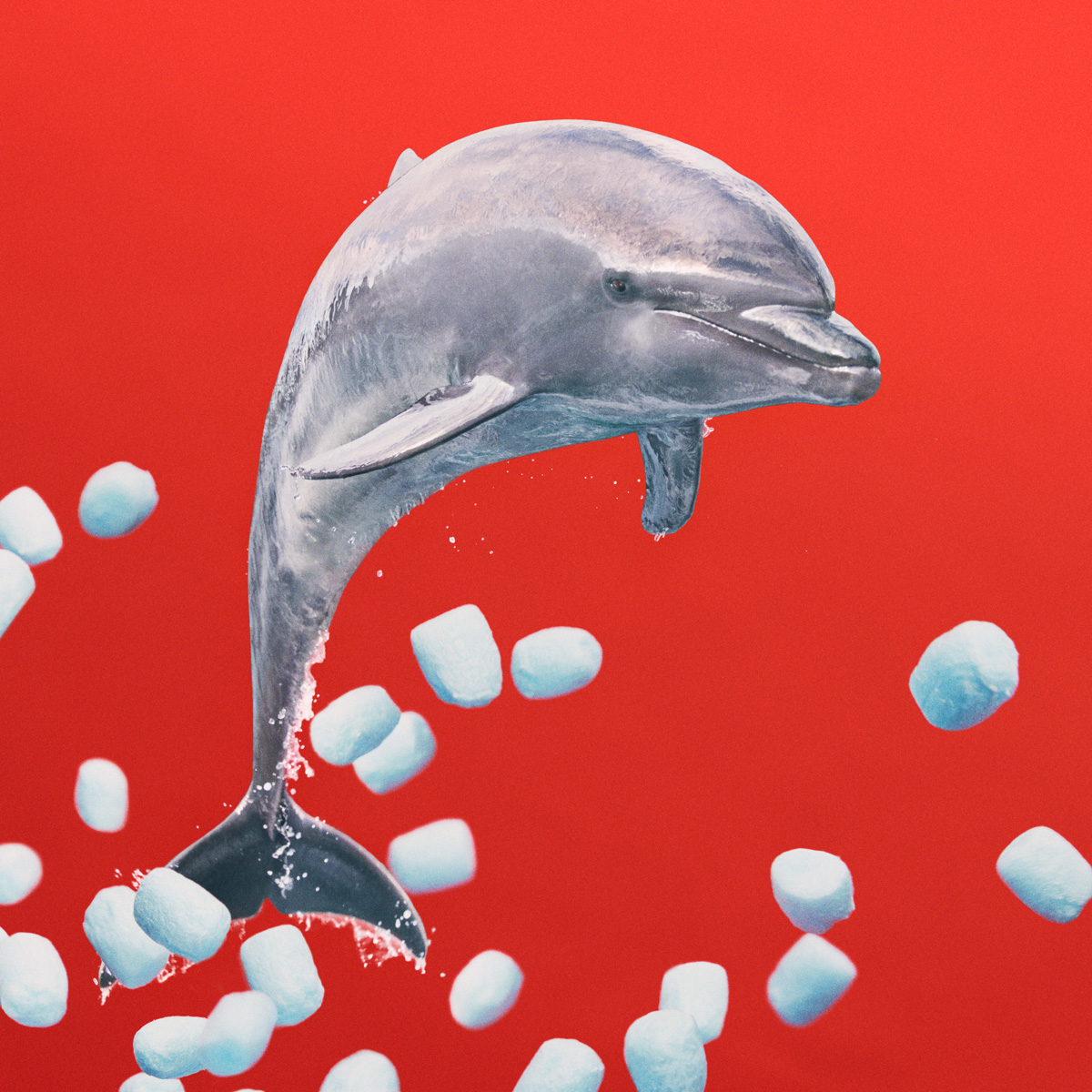 あいみょん – リズム64 歌詞 ( Lyrics)