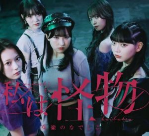 高嶺のなでしこ – いつか私がママになったら 歌詞 ( Lyrics) ジャケット