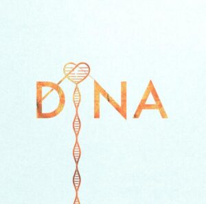 優里 – DiNA 歌詞 ( Lyrics) ジャケット