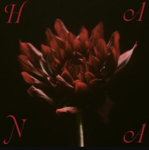 HANA – ALL IN 歌詞 ( Lyrics) ジャケット