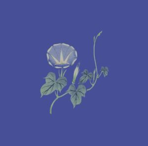 柿崎ユウタ – カプチーノ 歌詞 ( Lyrics) ジャケット